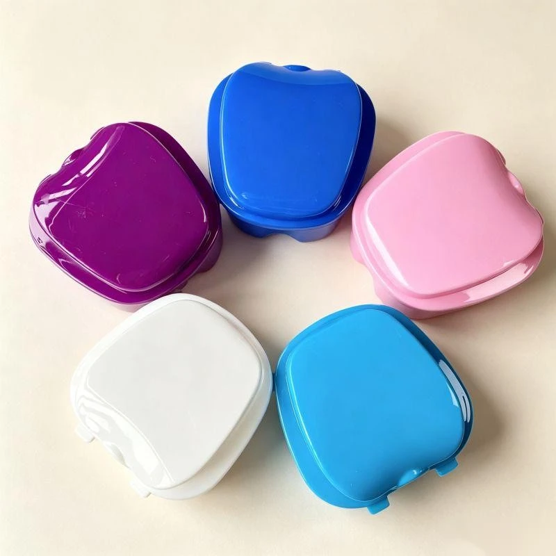 denture travel case 2 pack